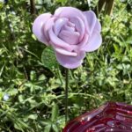 rose de verre