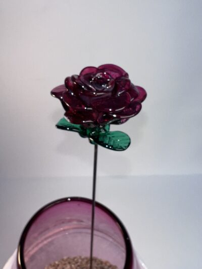 Rose fête des mères