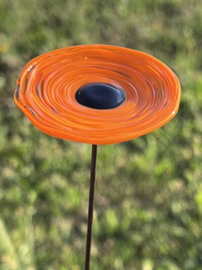 Fleurs orange