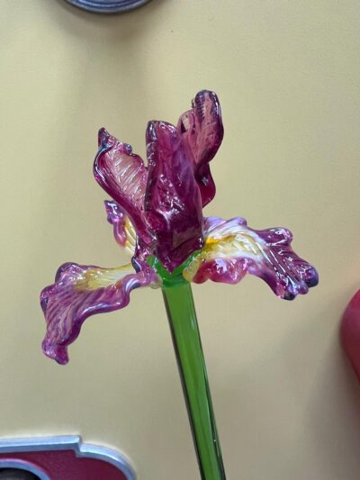 Fleur d’Iris en verre