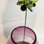 Fleurs artificielles en verre