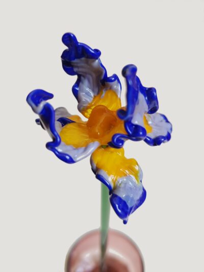 Iris en verre filé
