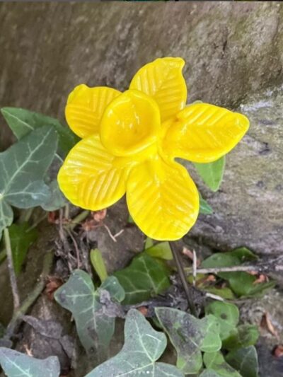 Jonquille éternelle en verre de Murano