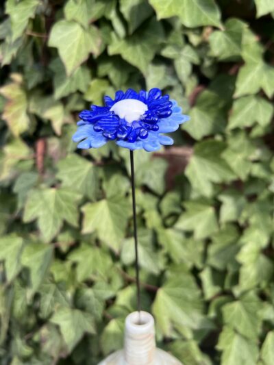 Bleuet de France en verre
