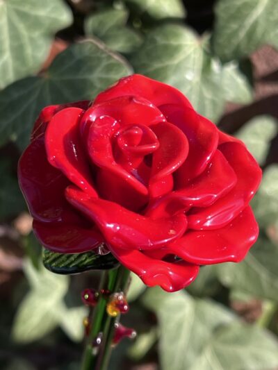 Roses en verre de Murano