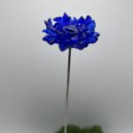 Bleuet en verre de Murano