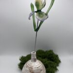 Iris en verre borosilicate