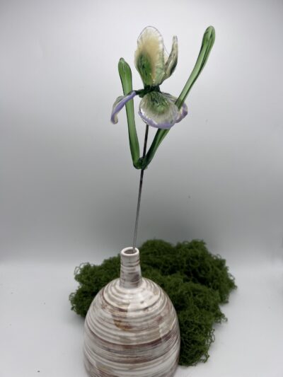 Iris en verre borosilicate