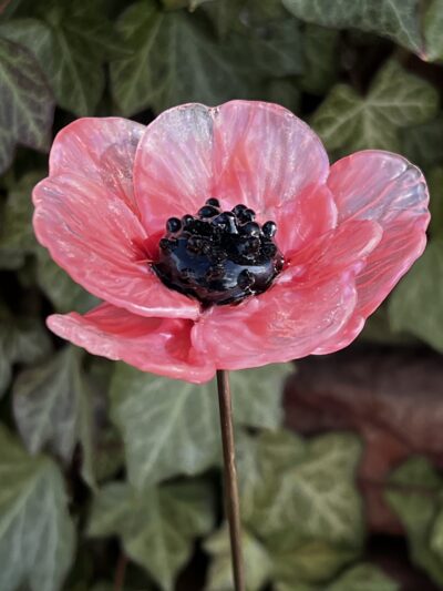 Coquelicot en verre rose mystique