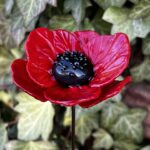 Coquelicot en verre rouge vif