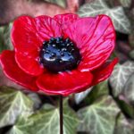 Coquelicot en verre rouge vif