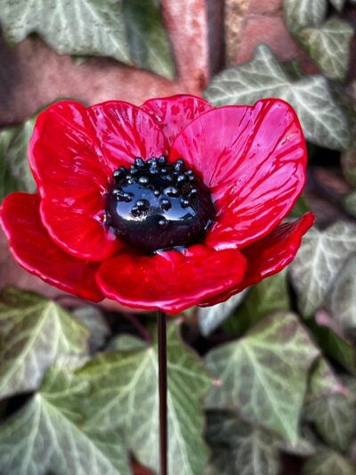 Coquelicot en verre rouge vif