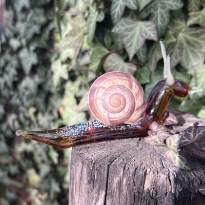 Escargot en verre tête basse