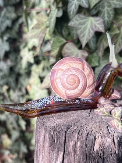 Escargot en verre tête haute