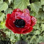 Coquelicot artificiel
