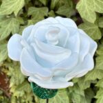 Rose blanche éternelle