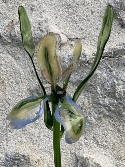 Fleur en verre Iris
