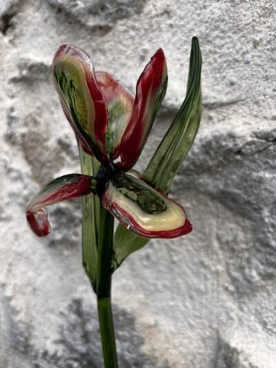 Iris en verre filé