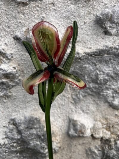 Iris en verre filé