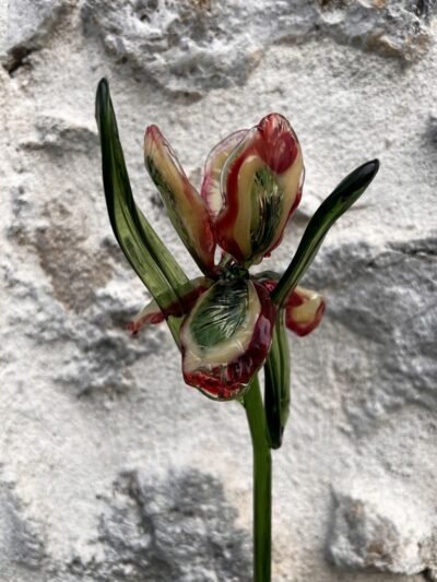 Iris en verre filé