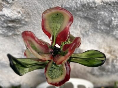 Iris en verre filé