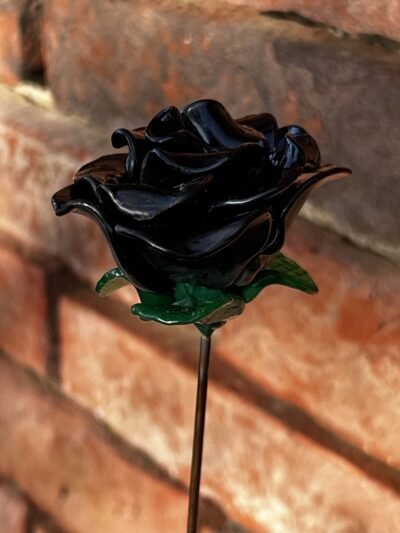 Rose éternelle noire