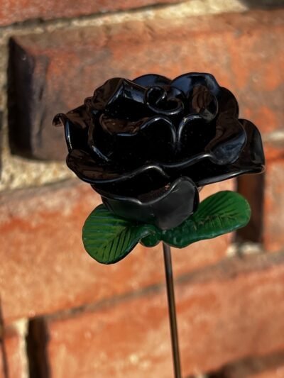 Rose éternelle noire