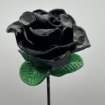 Rose éternelle noire