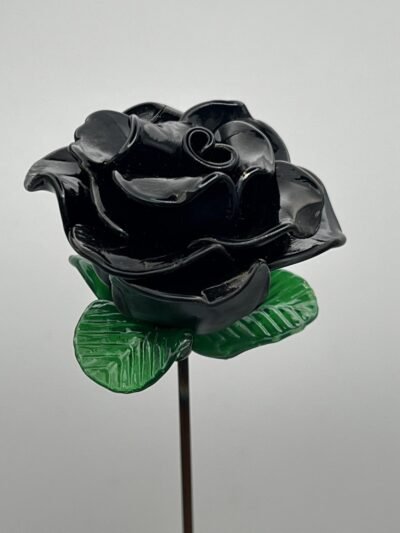 Rose éternelle noire