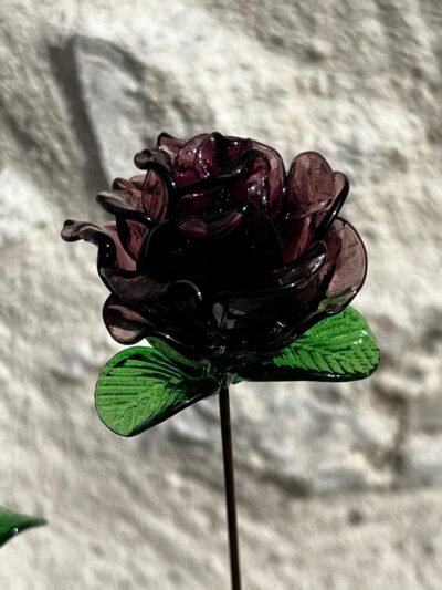 Rose éternelle violet améthyste