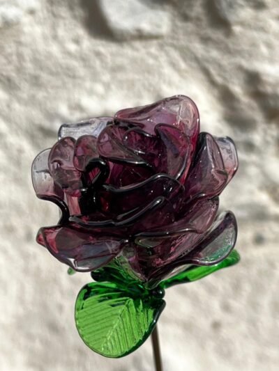 Rose éternelle violet améthyste
