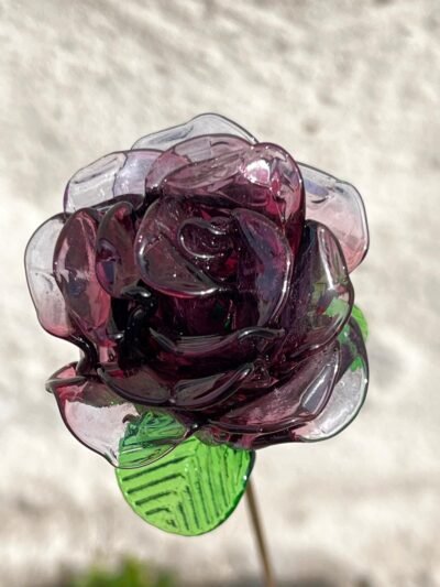 Rose éternelle violet améthyste