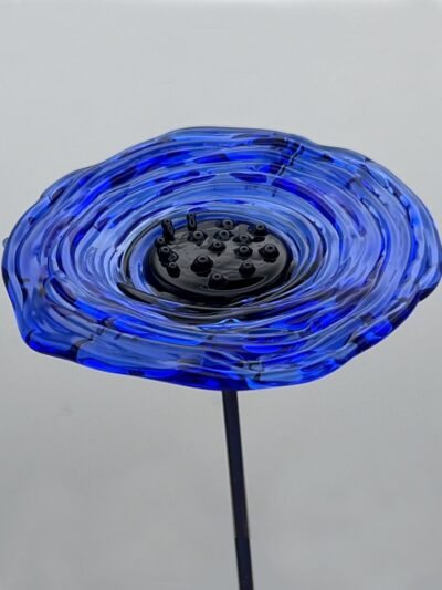 Fleurs bleues