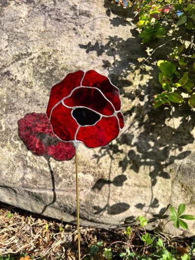 Attrape soleil à planter