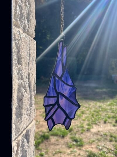 Attrape soleil chauve souris