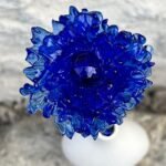 Bleuet éternel