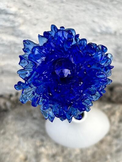 Bleuet éternel