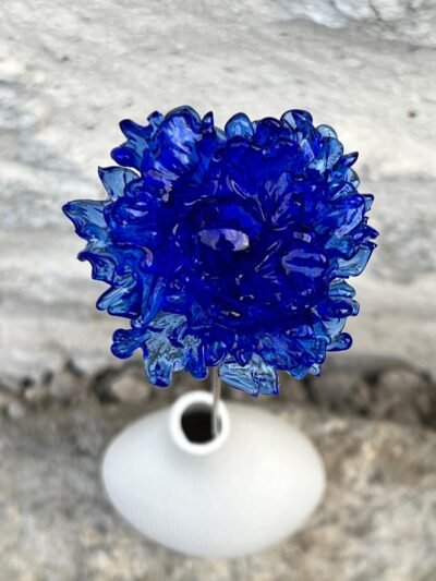 Bleuet éternel