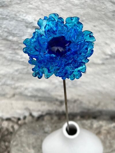 Bleuet éternel en verre