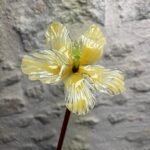 Fleur Hibiscus en verre