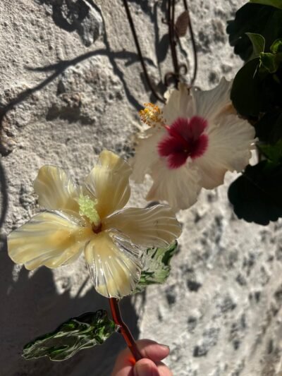 Fleur Hibiscus en verre