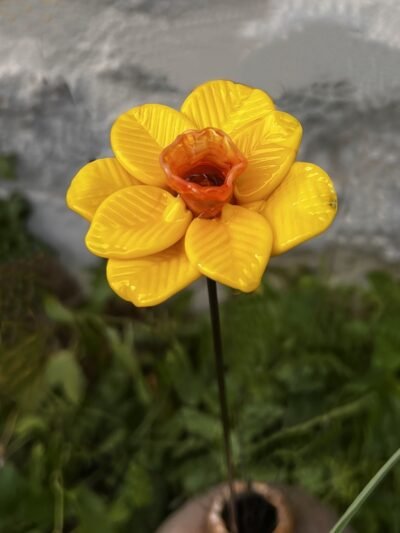 Jonquille en verre