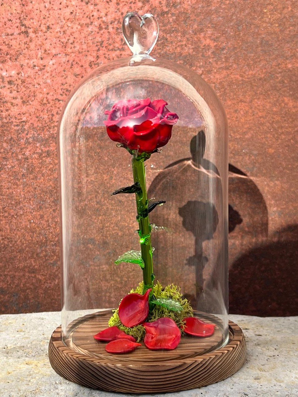 Rose sous cloche