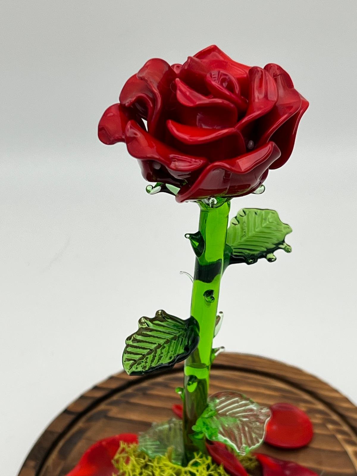 Rose sous cloche – Image 4