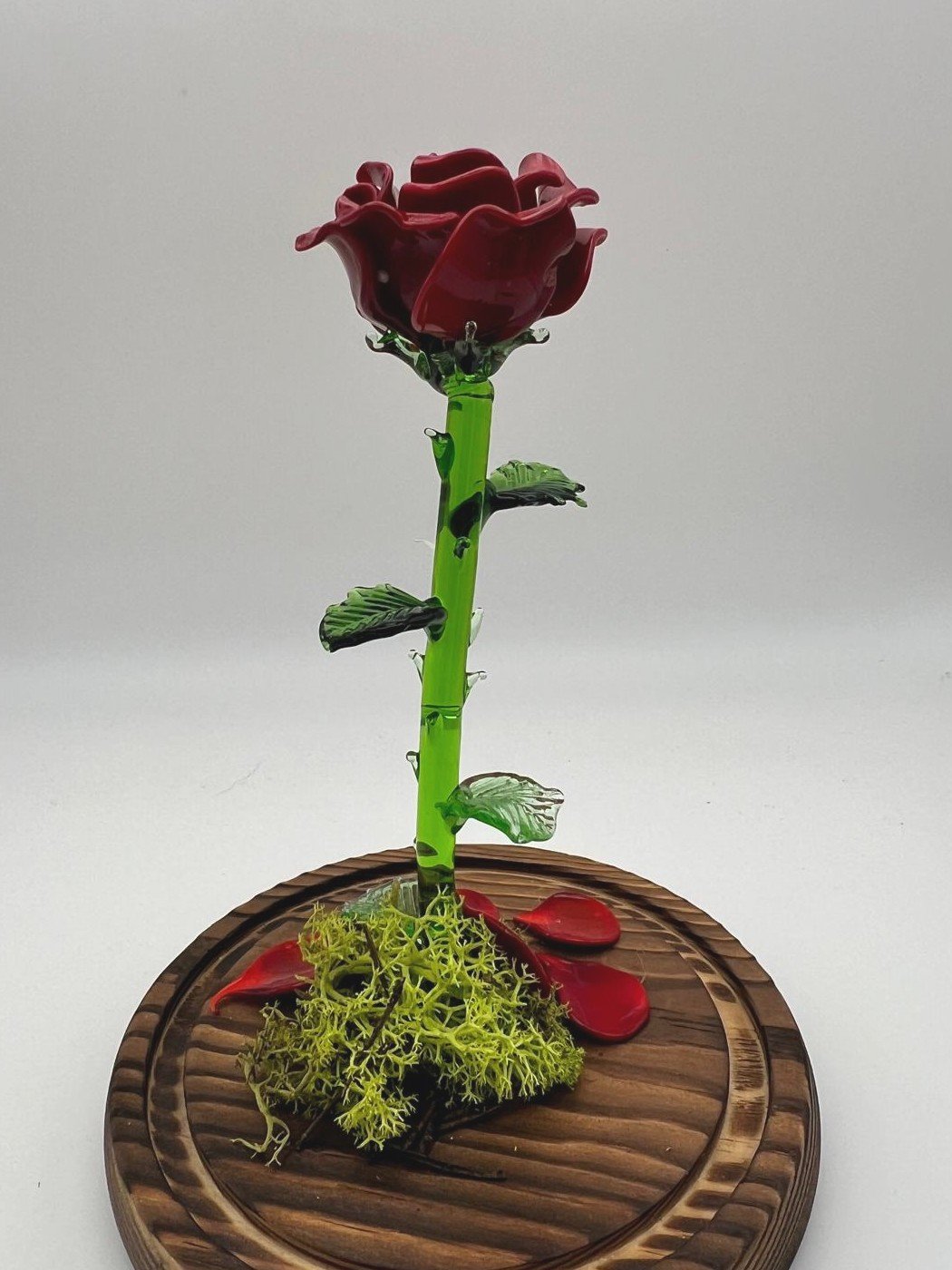 Rose sous cloche – Image 5