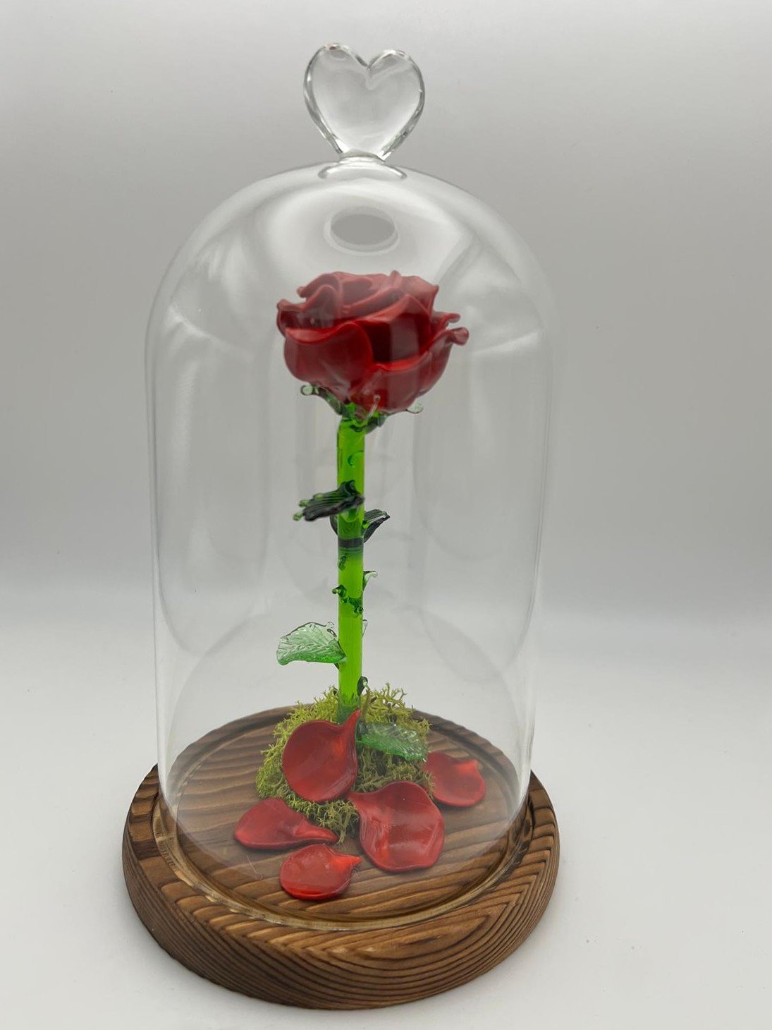 Rose sous cloche – Image 6