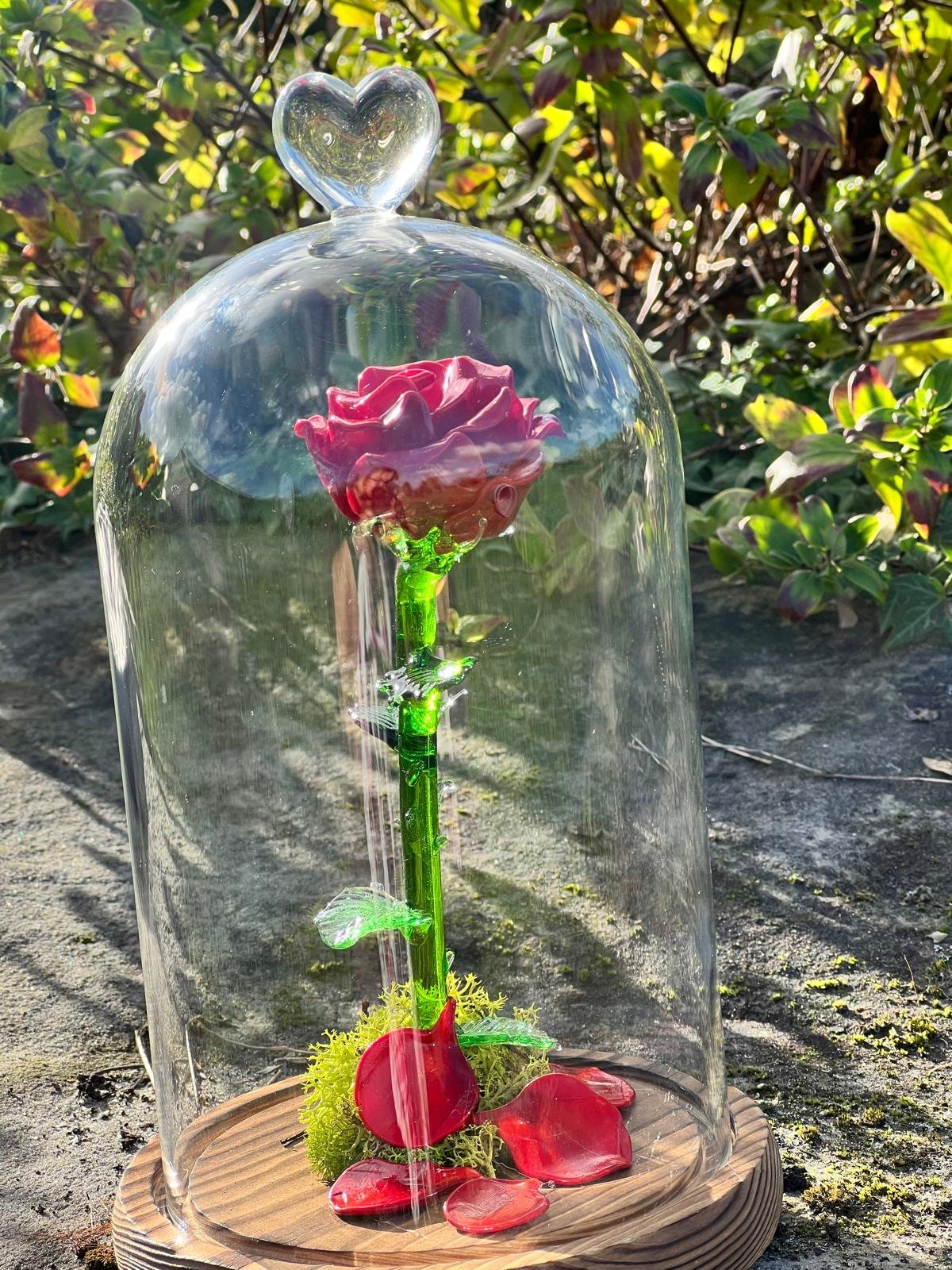 Rose sous cloche – Image 7