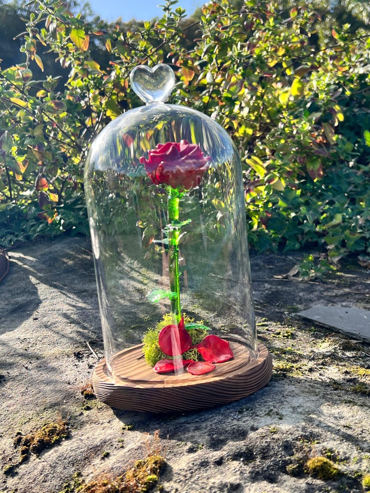 Rose sous cloche – Image 8