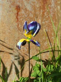 Iris en verre de Murano n°012 Fleurs de verre Iris