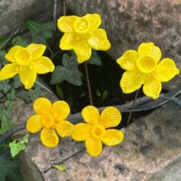 Bouquet de jonquilles en verre de Murano Fleurs en verre